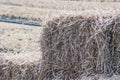 Straw closeup Royalty Free Stock Photo