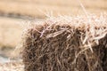 Straw closeup Royalty Free Stock Photo