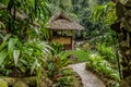 Exotic jungle cottage in the rain forest