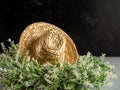 Straw cowboy or cowgirl hat on top of green and white leafy plant with a black slate background. Country rustic home decor