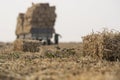 Straw cubes after wheat threshing Royalty Free Stock Photo