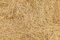 Straw hay, dry straw, hay straw yellow background, hay straw texture Royalty Free Stock Photo