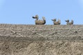 Straw ducks on straw roof at Porlock, Somerset Royalty Free Stock Photo