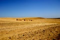 Straw field Royalty Free Stock Photo