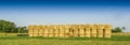Straw on the field. Royalty Free Stock Photo