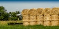 Straw on the field. Royalty Free Stock Photo