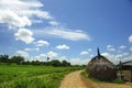 Straw in fields with blue sky Royalty Free Stock Photo