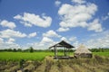 Straw in fields with blue sky Royalty Free Stock Photo