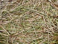 Straw floor