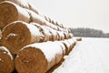 Straw Fodder Bales in Winter Royalty Free Stock Photo