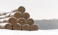 Straw Fodder Bales in Winter Royalty Free Stock Photo