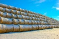 Straw Fodder Bales in Winter Royalty Free Stock Photo