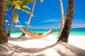 Straw hammock in the shadow of palm on tropical Royalty Free Stock Photo