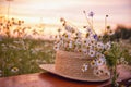 A straw hat and a bouquet of wild flowers on a wooden bench in a field at sunset Royalty Free Stock Photo