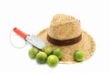 Straw hat and hand trowel and limes on white Royalty Free Stock Photo