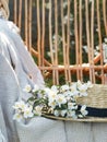 Straw Hat With Jasmine Flowers On A Wicker Chair. Relax In Nature