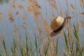 Straw hat in the reeds at the lake