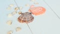 Straw hat and seashells on wooden background.photo with place for text