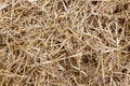 Straw, hay background texture Royalty Free Stock Photo