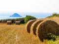 Straw hay bale on the field after harvest Royalty Free Stock Photo