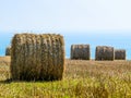 Straw hay bale on the field after harvest Royalty Free Stock Photo