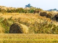 Straw hay bale on the field after harvest Royalty Free Stock Photo