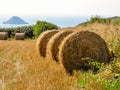 Straw hay bale on the field after harvest Royalty Free Stock Photo