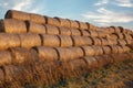 Straw or hay stacked in a field after harvesting. Straw bale wall Royalty Free Stock Photo