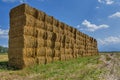 Straw or hay stacked in a field after harvesting