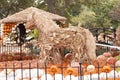 Straw Horses with Pumpkin hut