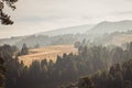 Straw mounds grouped in the field, which surround the forest that is on the slopes of the Nevado de Toluca