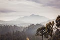 Straw mounds grouped in the field, which surround the forest that is on the slopes of the Nevado de Toluca