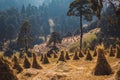 Straw mounds grouped in the field, which surround the forest that is on the slopes of the Nevado de Toluca