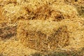 Square bales of golden hay Royalty Free Stock Photo