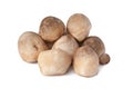 Straw Mushroom