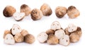 Straw mushrooms isolated on white background Royalty Free Stock Photo