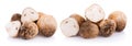 Straw mushrooms isolated on white background Royalty Free Stock Photo