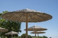 Straw parasol beach umbrellas