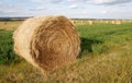 Straw piles Royalty Free Stock Photo