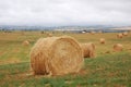 Straw piles in autumn field Royalty Free Stock Photo