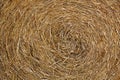 Straw rice Royalty Free Stock Photo