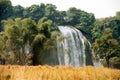 Straw in rice field front of Ban Gioc waterfall in Vietnam. Royalty Free Stock Photo