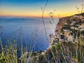 Straw rice stuck with. Crooked tree over the ocean.  Mountain top, rock with orange moss, blue sky with clouds. Sunset at the lake Royalty Free Stock Photo