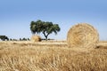 Straw roll in Alentejo, Portugal