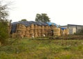 Straw rolled into round bales for winter storage for livestock on the farm