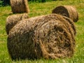 Straw rolls on the berde grass Royalty Free Stock Photo
