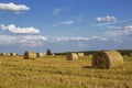 Straw rolls on farmer field