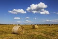 Straw rolls on farmer field in the summer Royalty Free Stock Photo