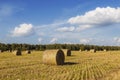 Straw rolls on farmer field in the summer Royalty Free Stock Photo
