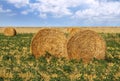 Straw rolls in the field Royalty Free Stock Photo